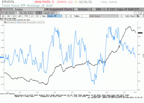 Altın ETF ve fon pozisyon değişimi 
