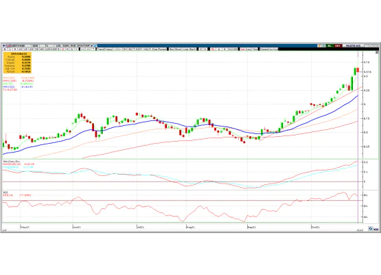 DOLAR/TL EKİM VADE