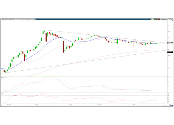 DOLAR/TL EYLÜL VADE