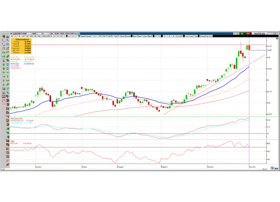 DOLAR/TL KASIM VADE