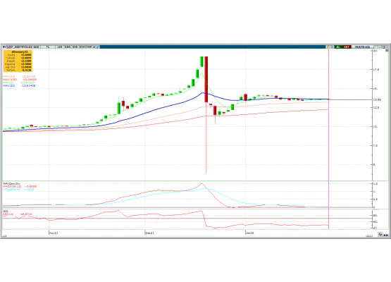 DOLAR/TL OCAK VADE