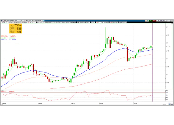 DOLAR/TL TEMMUZ VADE