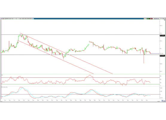 DOLAR/TL YAKIN VADE