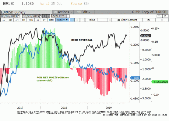 FON NET POZİSYONLARI VE RISK REVERSAL
