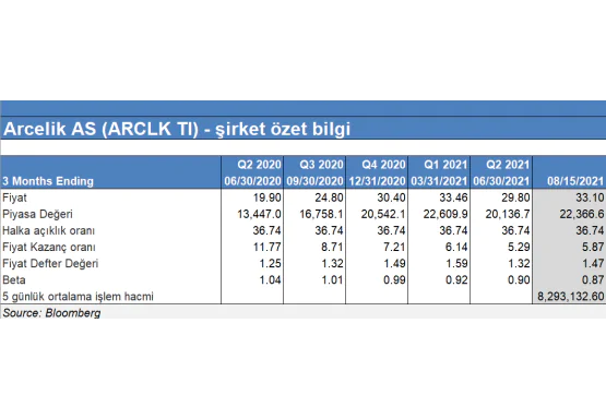 Şirket özet bilgi