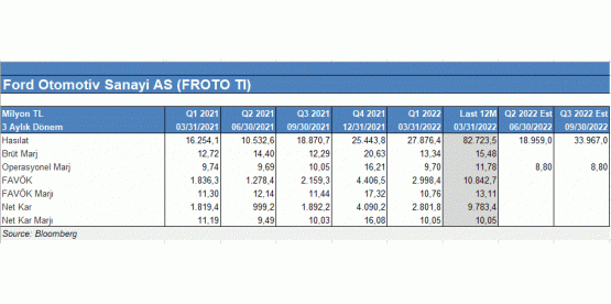 Şirket özet finansalları