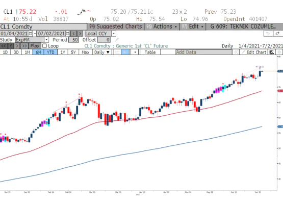WTI ham petrol son 6 ay 